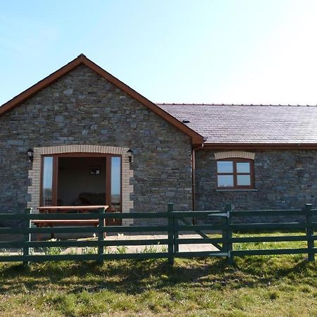 Blaengader Cottages - Enlli Aberystwyth Exteriör bild