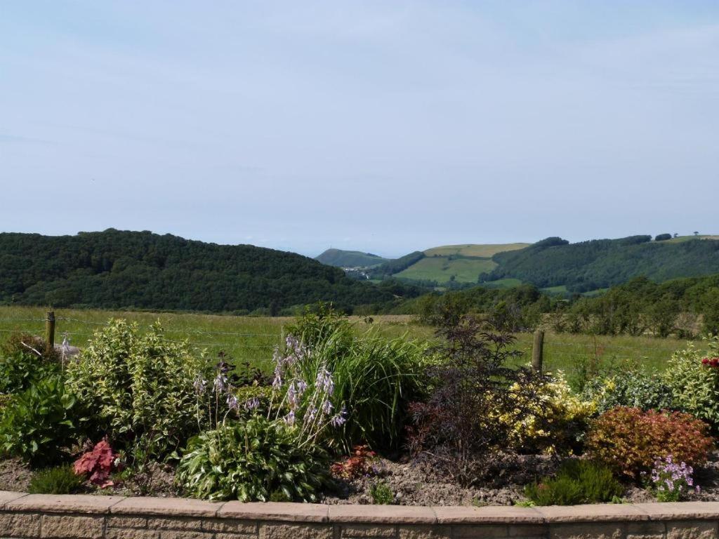 Blaengader Cottages - Enlli Aberystwyth Exteriör bild