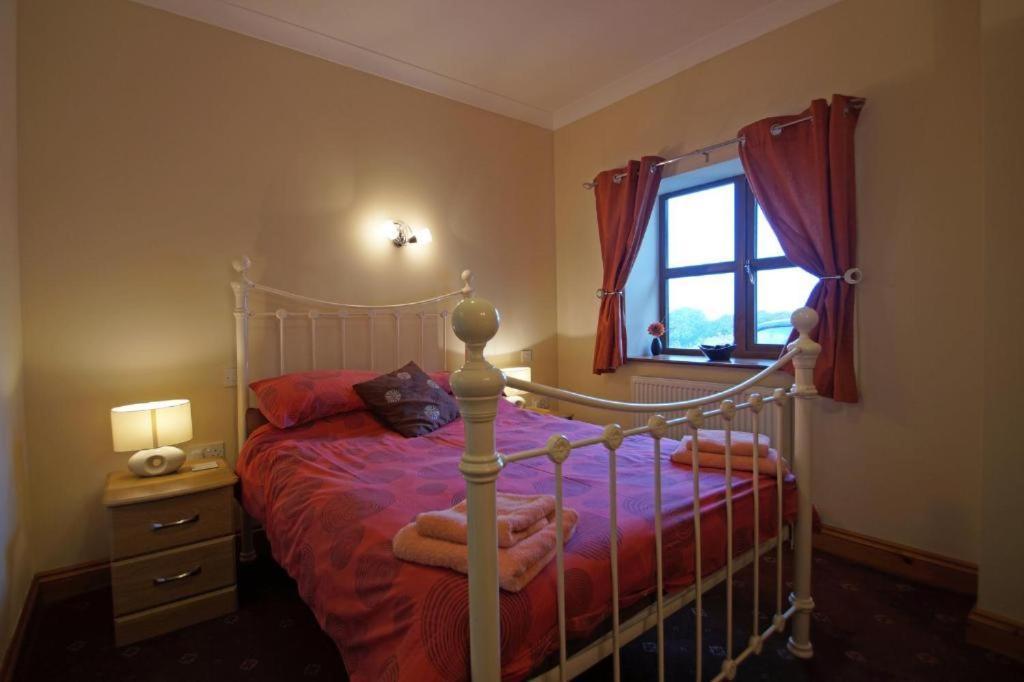 Blaengader Cottages - Enlli Aberystwyth Exteriör bild